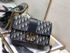 DIOR High Quality Handbags 147