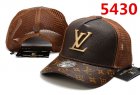 Louis Vuitton Normal Quality Hats 73