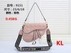 DIOR Normal Quality Handbags 174