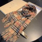 Burberry Scarves 367