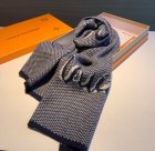 Louis Vuitton Scarves 69