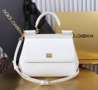 Dolce & Gabbana High Quality Handbags 632