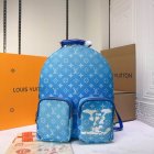 Louis Vuitton Backpack 12