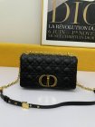 DIOR High Quality Handbags 813