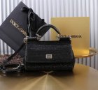 Dolce & Gabbana High Quality Handbags 529