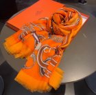 Hermes Scarves 55