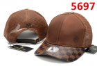 Louis Vuitton Normal Quality Hats 29