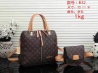 Louis Vuitton Normal Quality Handbags 78