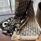 DIOR Scarves 162
