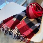 Burberry Scarves 405