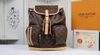 Louis Vuitton Backpack 124