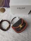 CELINE High Quality Handbags 01