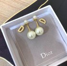 Dior Jewelry Earrings 215