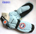 Canada Goose Gloves 07