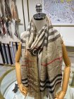 Burberry Scarves 435