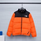 The North Face Men's Outerwears 259
