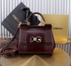 Dolce & Gabbana High Quality Handbags 680