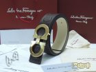 Salvatore Ferragamo High Quality Belts 66