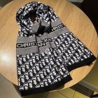 DIOR Scarves 14