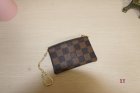 Louis Vuitton Normal Quality Wallets 119