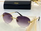 Cartier High Quality Sunglasses 677