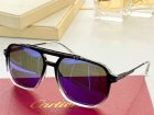 Cartier High Quality Sunglasses 1480