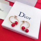 Dior Jewelry Earrings 24