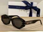 DIOR High Quality Sunglasses 1382