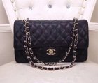 Chanel High Quality Handbags 453