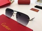Cartier High Quality Sunglasses 222