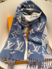 Louis Vuitton Scarves 65