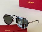 Cartier High Quality Sunglasses 169