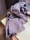 Burberry Scarves 314