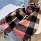 Burberry Scarves 229