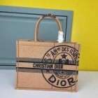 DIOR High Quality Handbags 113