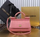 Dolce & Gabbana High Quality Handbags 586