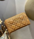 DIOR Original Quality Handbags 29