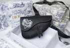 DIOR High Quality Handbags 743