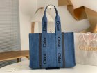 Chloe Original Quality Handbags 271