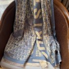 DIOR Scarves 163