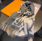 Louis Vuitton Scarves 106