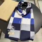 Burberry Scarves 152