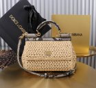 Dolce & Gabbana High Quality Handbags 589