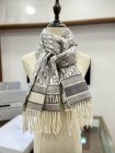 DIOR Scarves 125