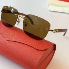 Cartier High Quality Sunglasses 1009