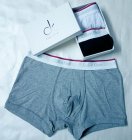 Calvin Klein Men's Underwear 204