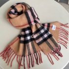 Burberry Scarves 371