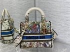 DIOR Original Quality Handbags 894