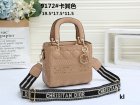 DIOR Normal Quality Handbags 111