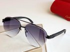 Cartier High Quality Sunglasses 953